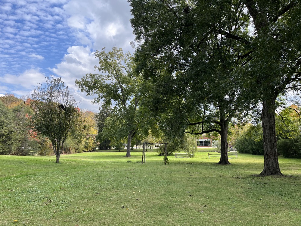 Large lawn with some trees