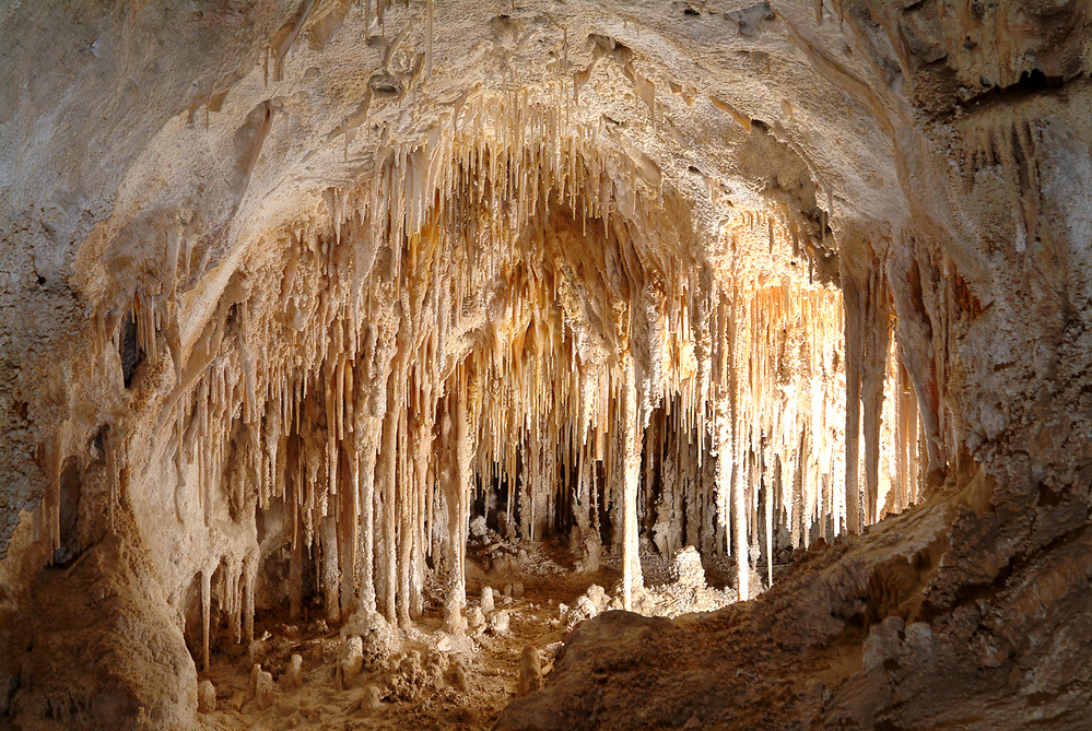 Soda straw stalactites in the cavern.