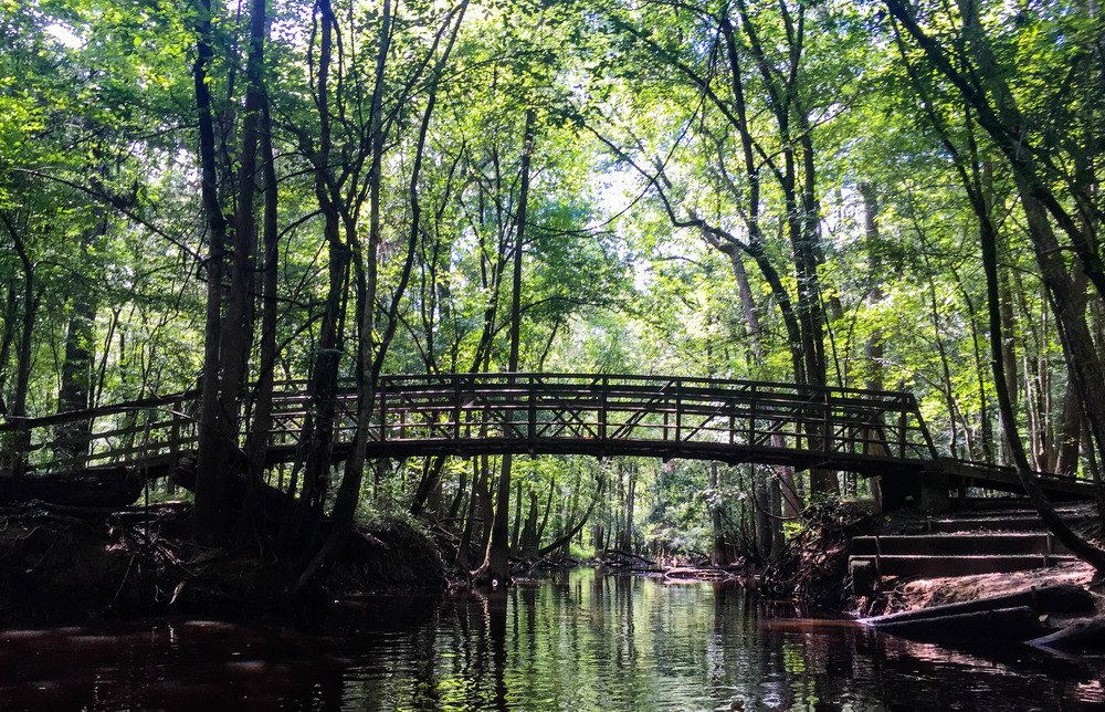 Bridge over a creek lined with trees 