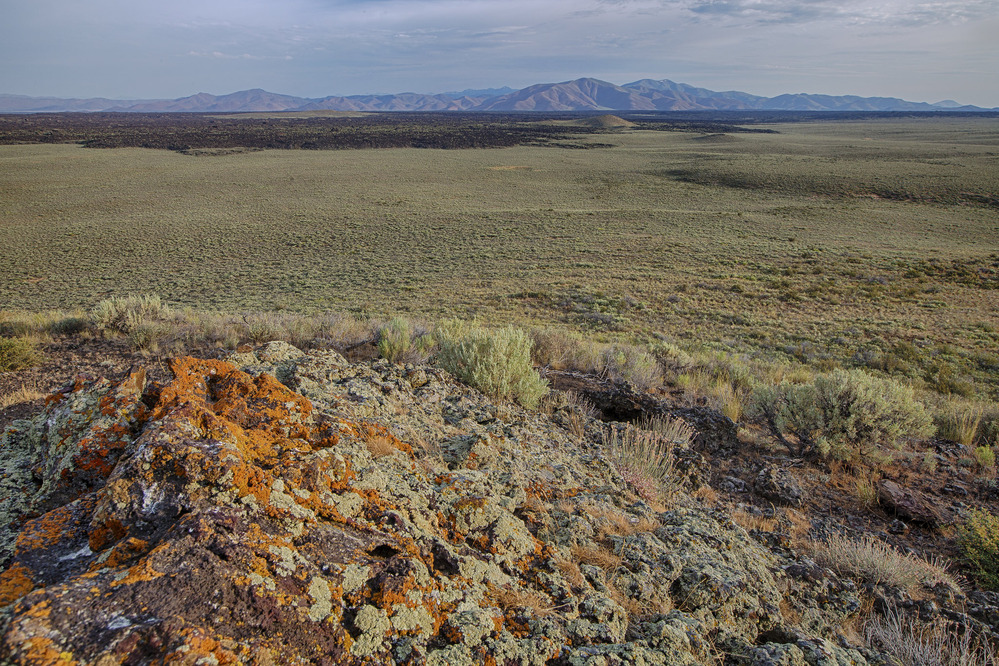 a flat, sagebrush covered landscape with patches of dark lava rock and mountains in the distance viewed from a lichen covered outcrop