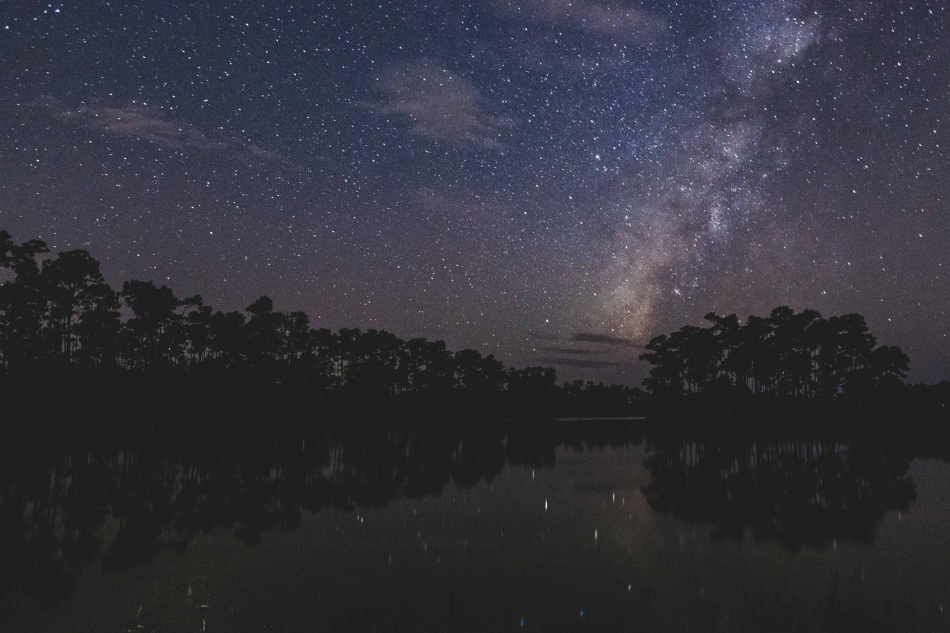 A wide night-time landscape showing a silhouette of a pinewood forest reflected on a lake. The sky is filled with stars and the Milky Way is visible above the forest.