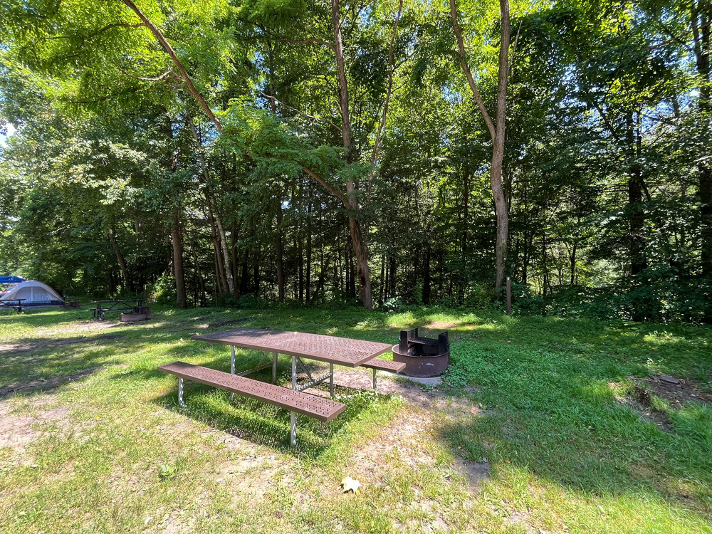 picnic table and river ring in a cleared campground space next to a line of trees