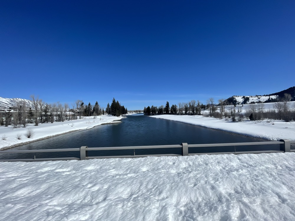 Snake River at Moose, WY looking upstream, March 19, 2024.