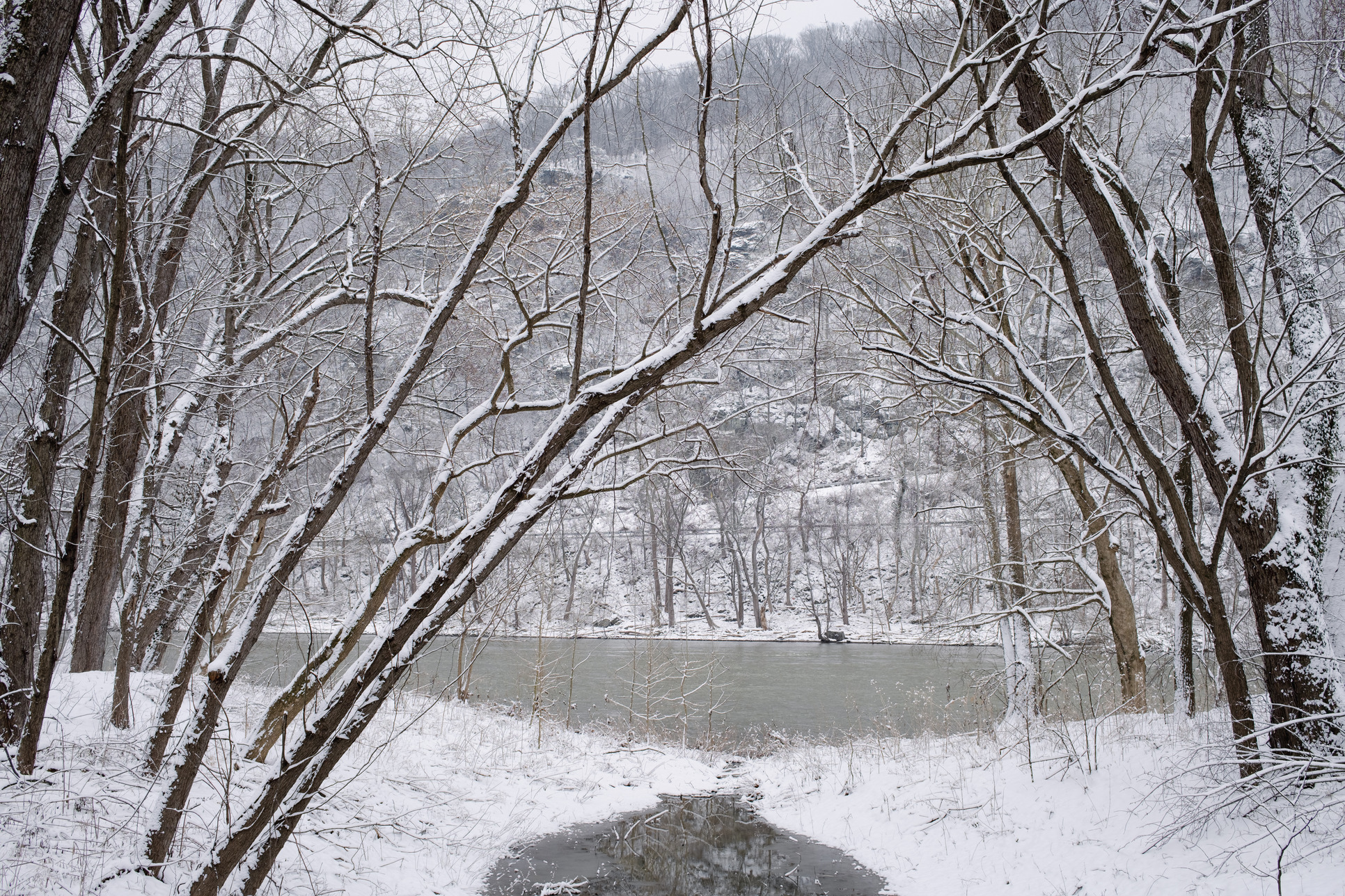 A small icy channel of water passes through tall trees and connects to a river in the distance. The ground and trees are blanketed in snow.