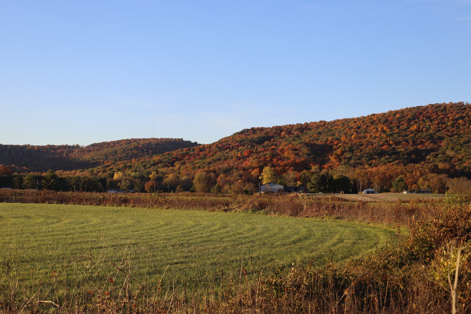Edge of interpretive mowing at smaller circle of Seip Earthworks, with Fall foliage on the mountain behind it