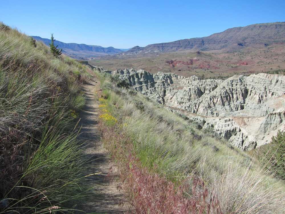 A single track trail winds along a cliff with views of colorful rocks
