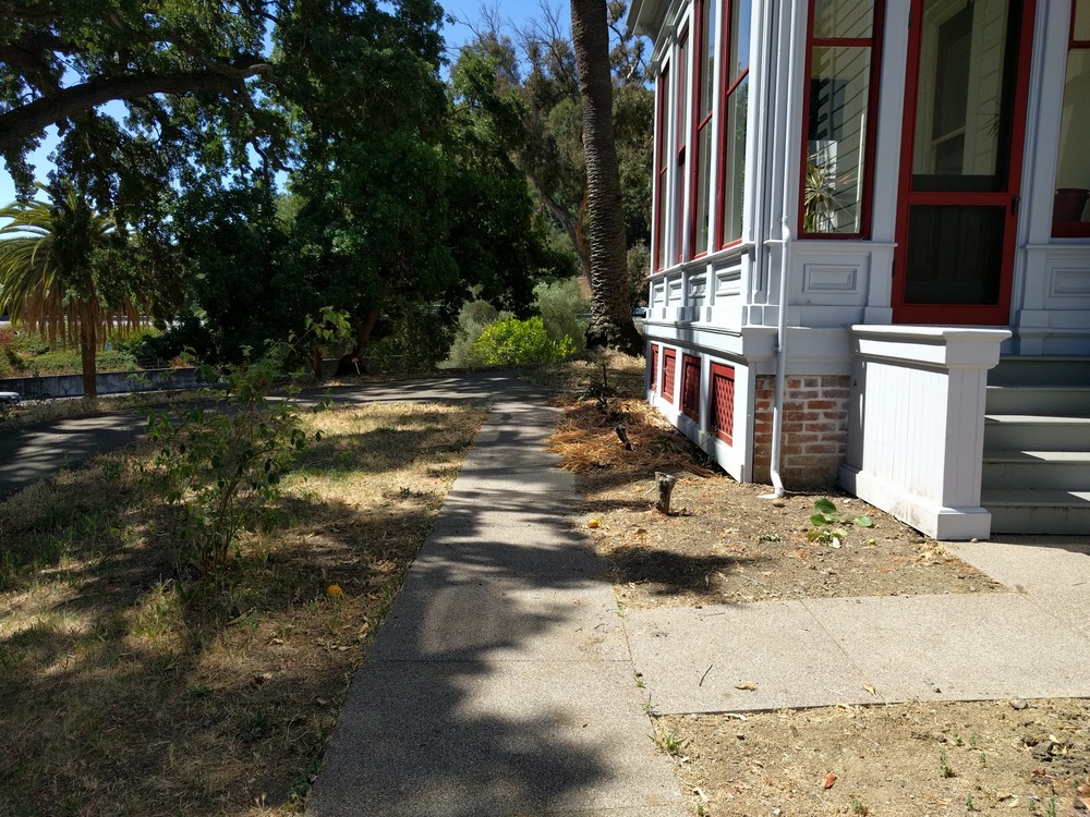 A sidewalk leads past a bare planting bed outside a house, partly shaded by trees. 