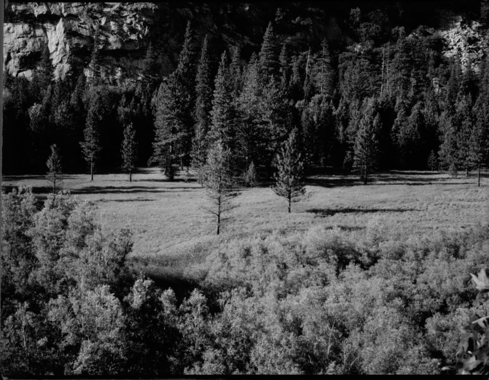 Zumwalt Meadow in Cedar Grove, 1980.