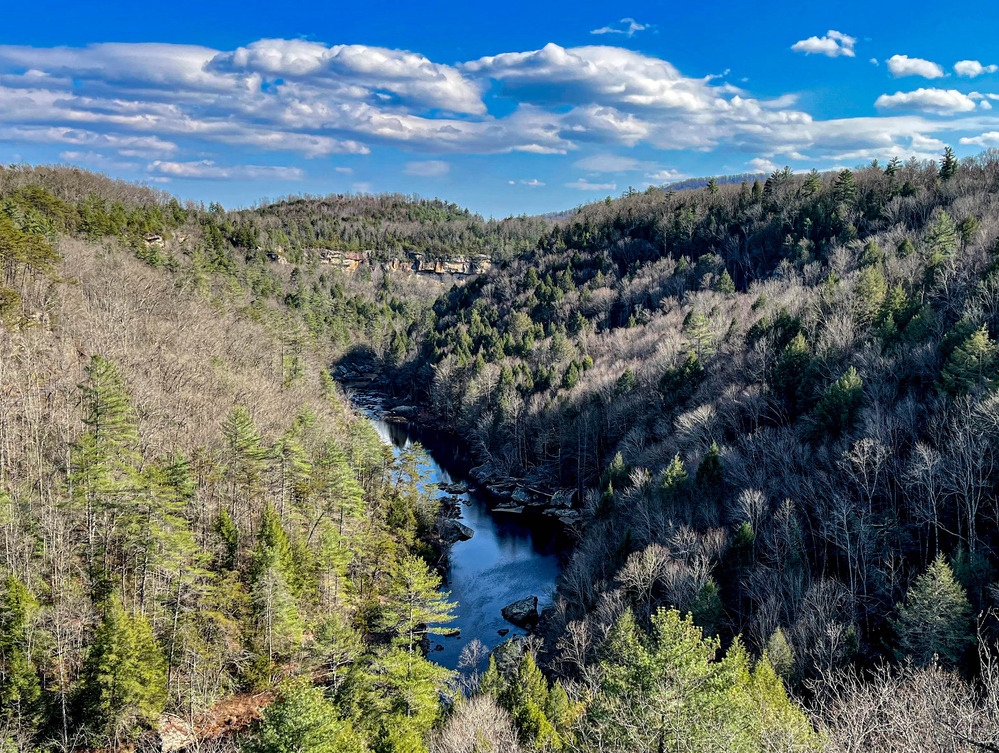 River flowing through a mountainous forested area