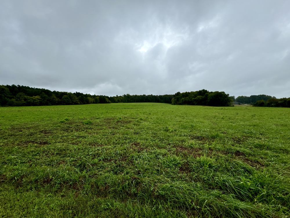 Open field at the Fort Gregg site in Petersburg National Battlefield. This field will be reconstructed as a native grassland as part of an upcoming grasslands restoration project.