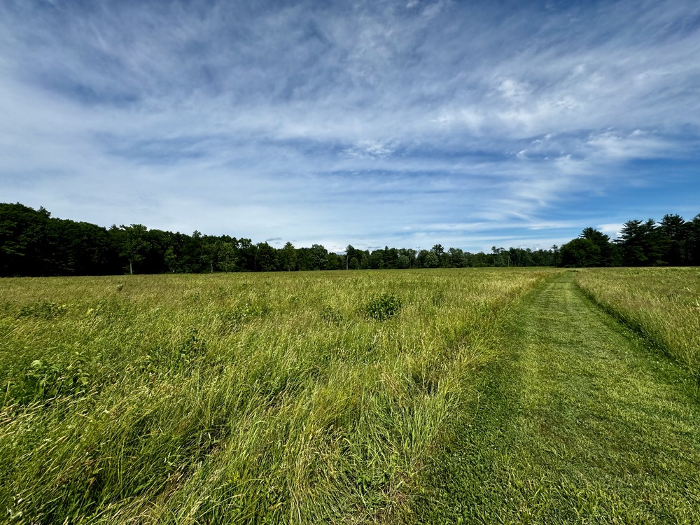 Open Remnant Grassland at Stop #6 in Saratoga National Historical Park