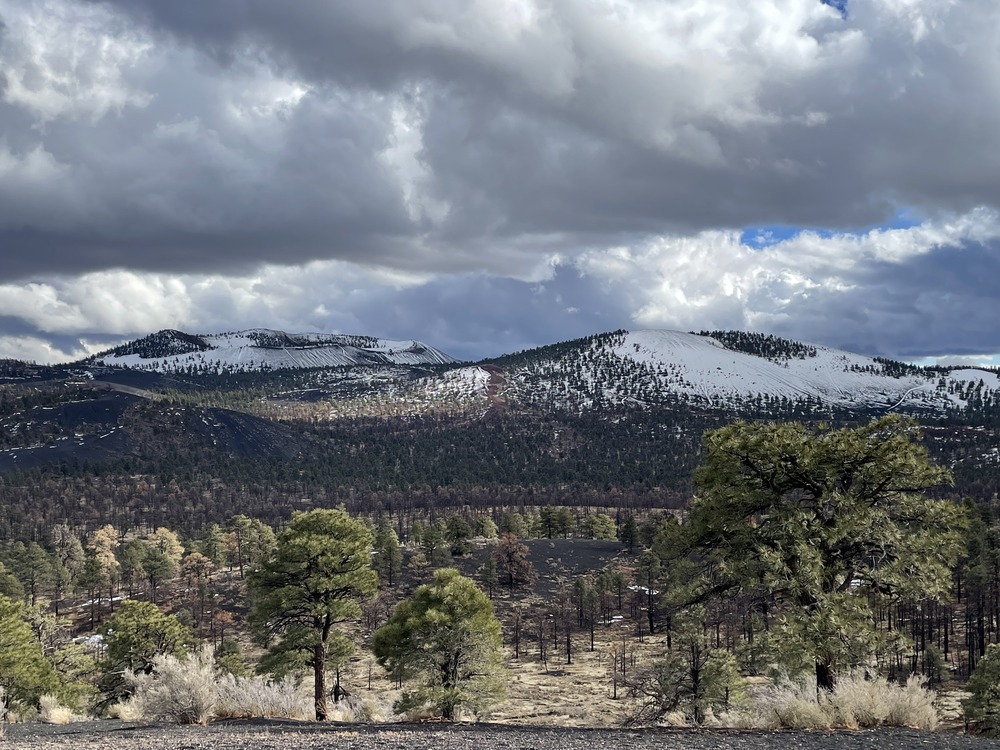 Many pine trees growing in black volcanic cinders all over two extinct volcanic hills partially covered in snow with large white clouds. 