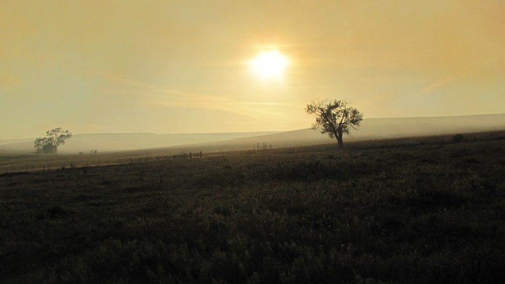 Sun shines through smoky, yellow air upon a dark landscape.