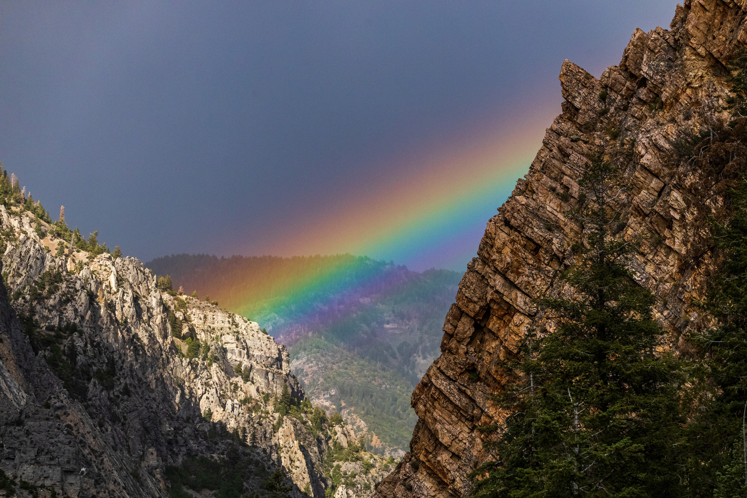 A rainbow stretches from one side of the canyon to the other 