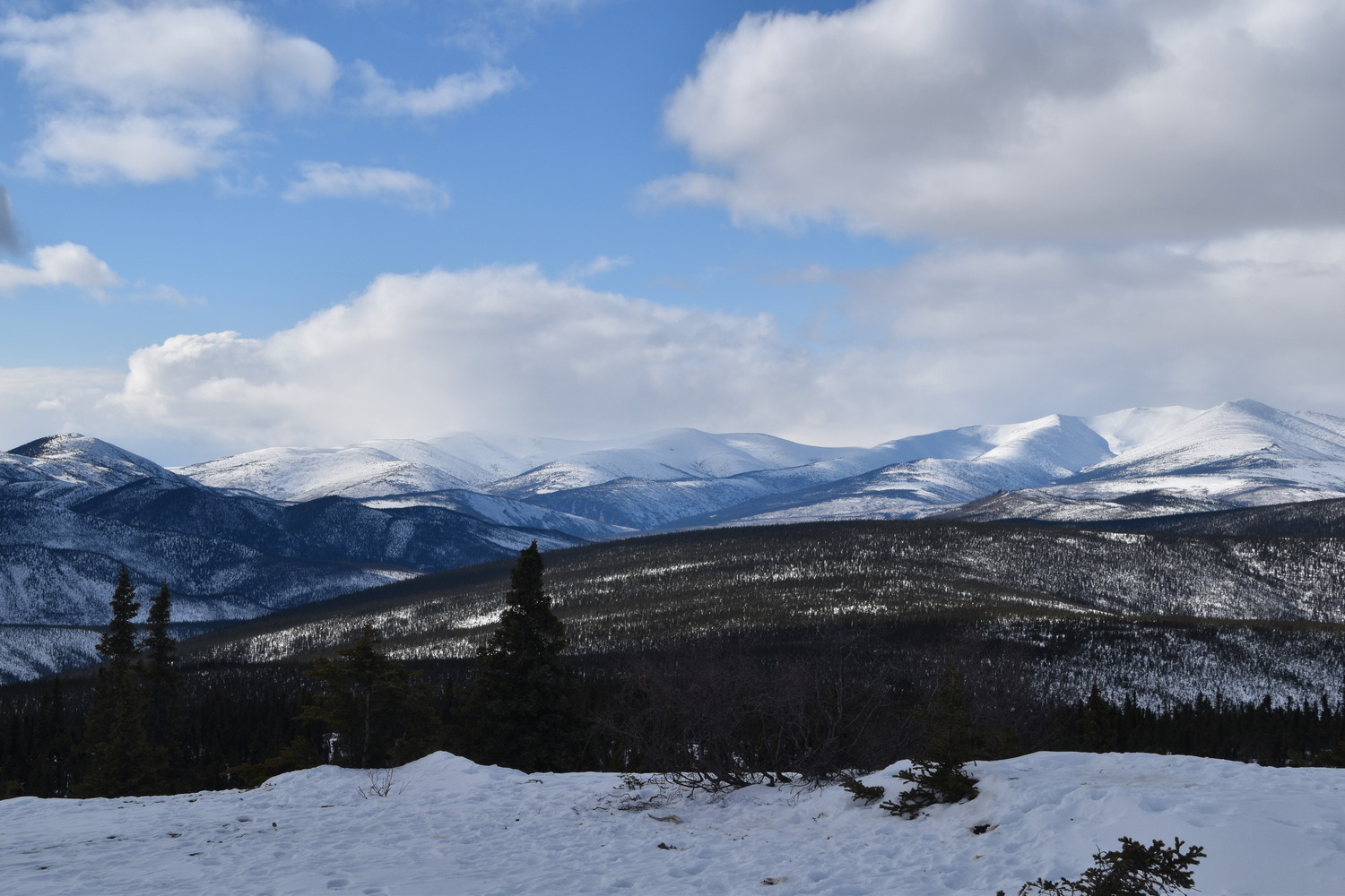 Looking out into a distant, snow-covered mountain. The image depicts frigid beauty and shows cases the extreme environment that is Alaska.