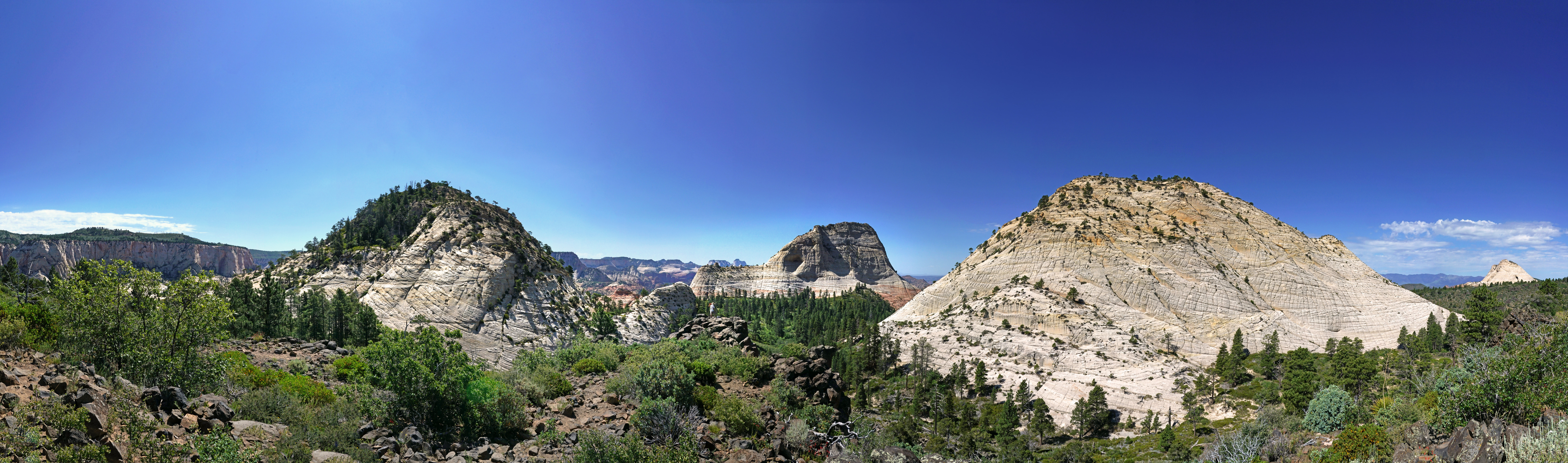 Three white peaks of crossbedded rock dotted with green vegetation under a clear blue sky.